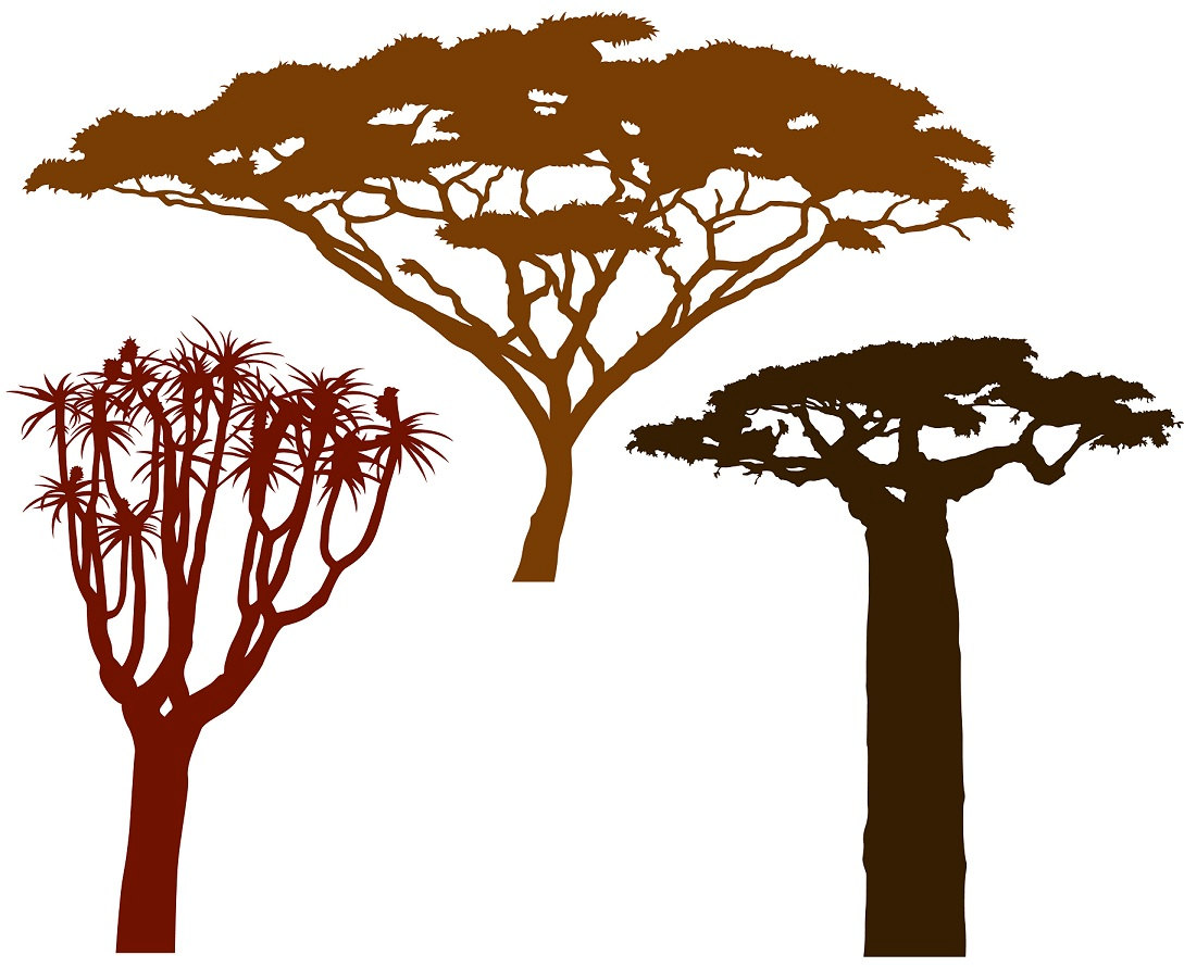 1089x890 African Trees