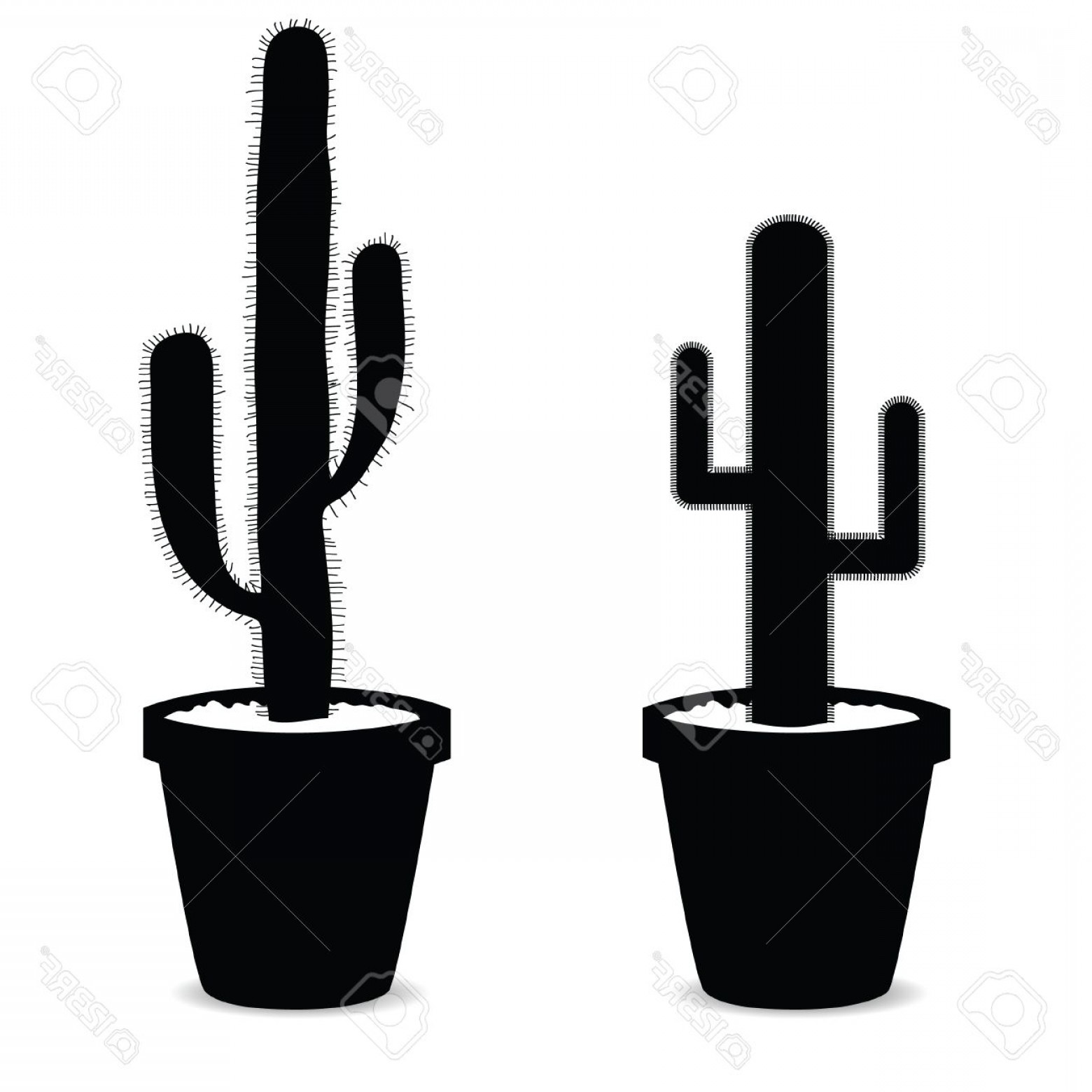 1560x1560 Cactus Silhouette Vector Shopatcloth