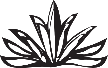 448x282 Agave Plant Gourmet Source Beach House Agave