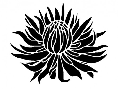 500x377 C6bfd8ea53cf3b420fc84b554b640e