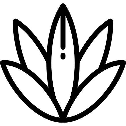 512x512 Agave Icon