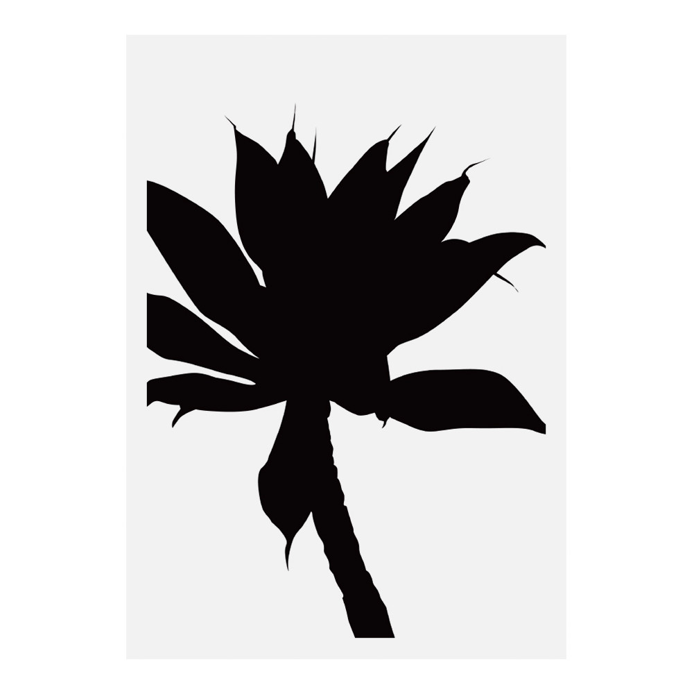 1001x1000 Black Agave Wall Art Temple Amp Webster
