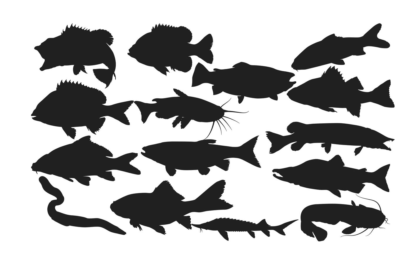 1400x933 Fresh Water Fish Silhouette Ai Eps Dxf Svg Png By Rwd