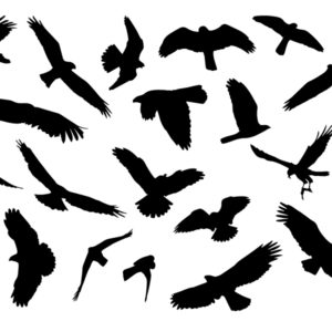 300x300 Product Tag Ai Free Download Vector Logos Art Graphics Silhouettes