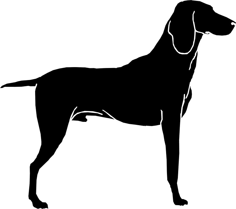 800x710 Airedale Terrier Dog Silhouette Stickers By Mishamisha Redbubble