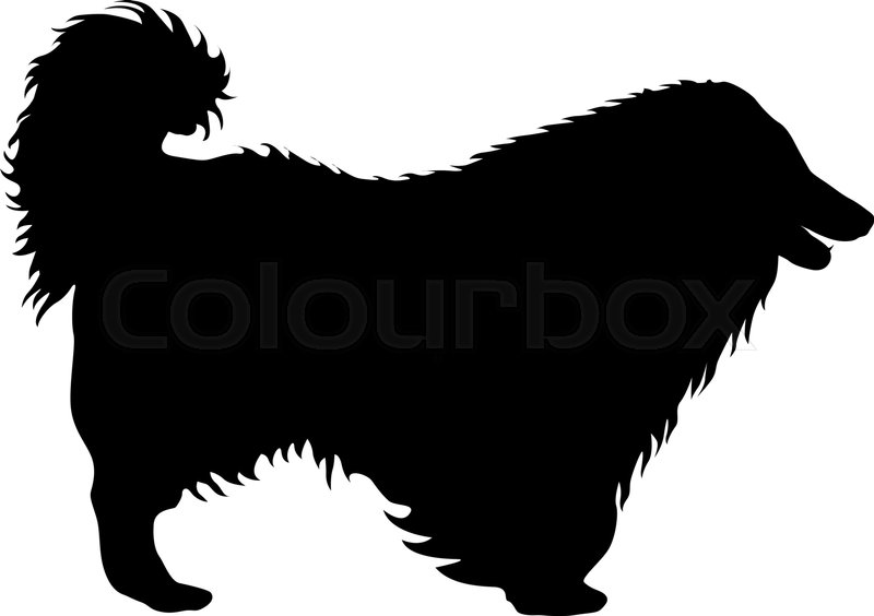 800x564 Airedale Terrier Dog Silhouette On A White Background. Stock