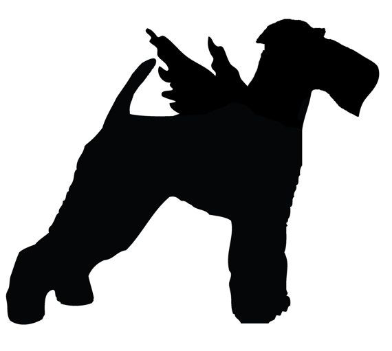 570x511 122 Best Welsh Terrier Images On Airedale Terrier