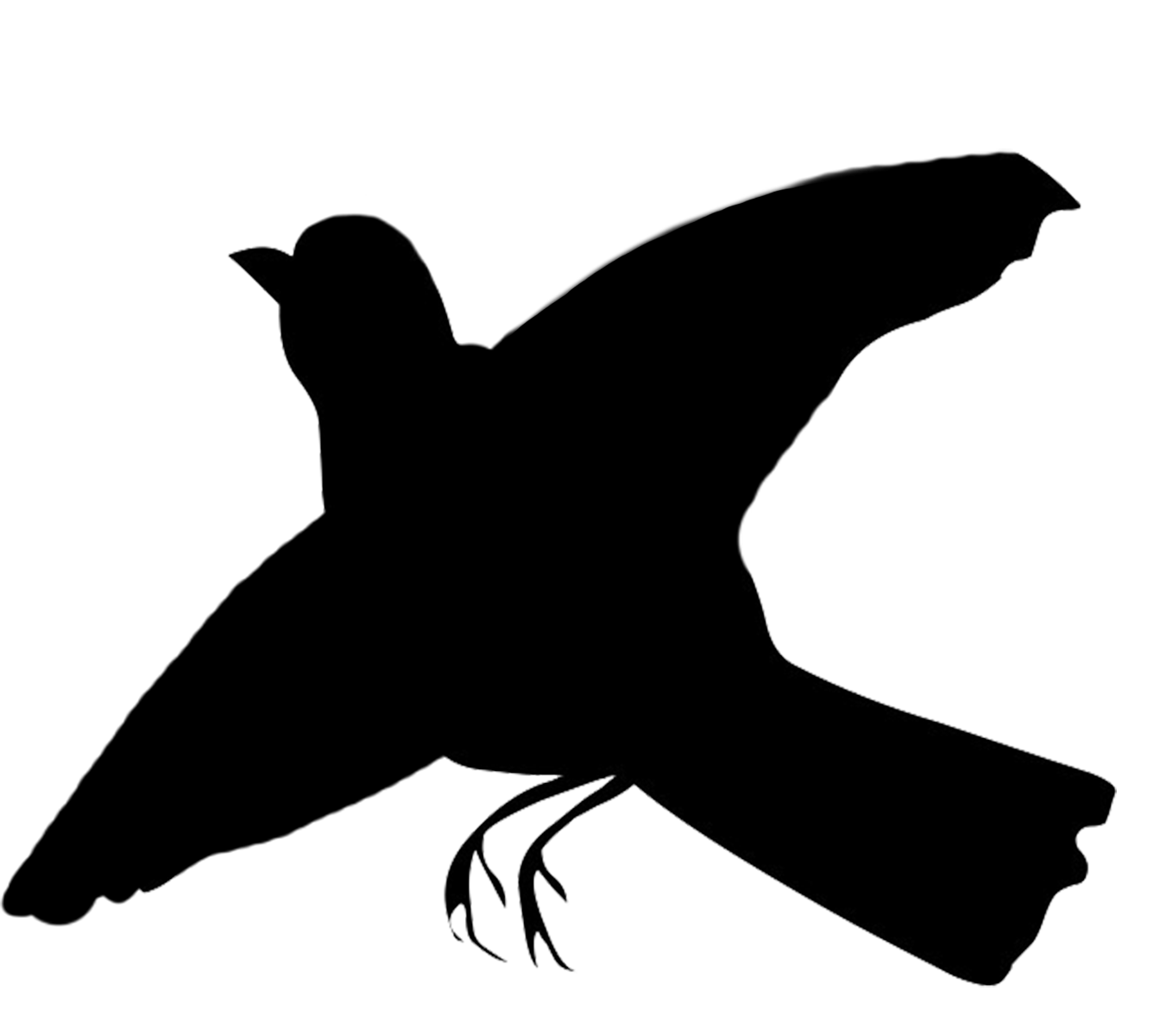 1344x1200 Flight Clipart Silhouette