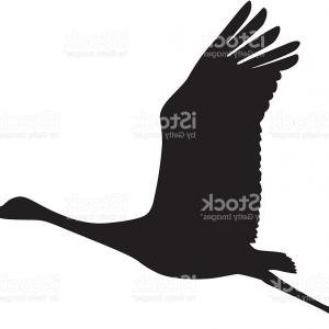 300x300 Photostock Vector Silhouette A Flock Birds Black Contours