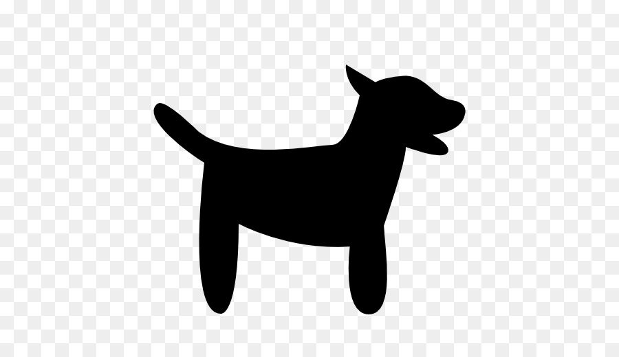 900x520 Puppy Computer Icons Pet Akita Jack Russell Terrier