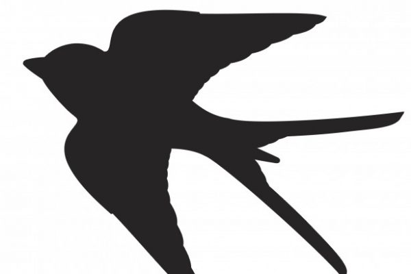 600x400 Projet D'Initiative Citoyenne 2016