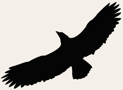 424x311 Things To Do