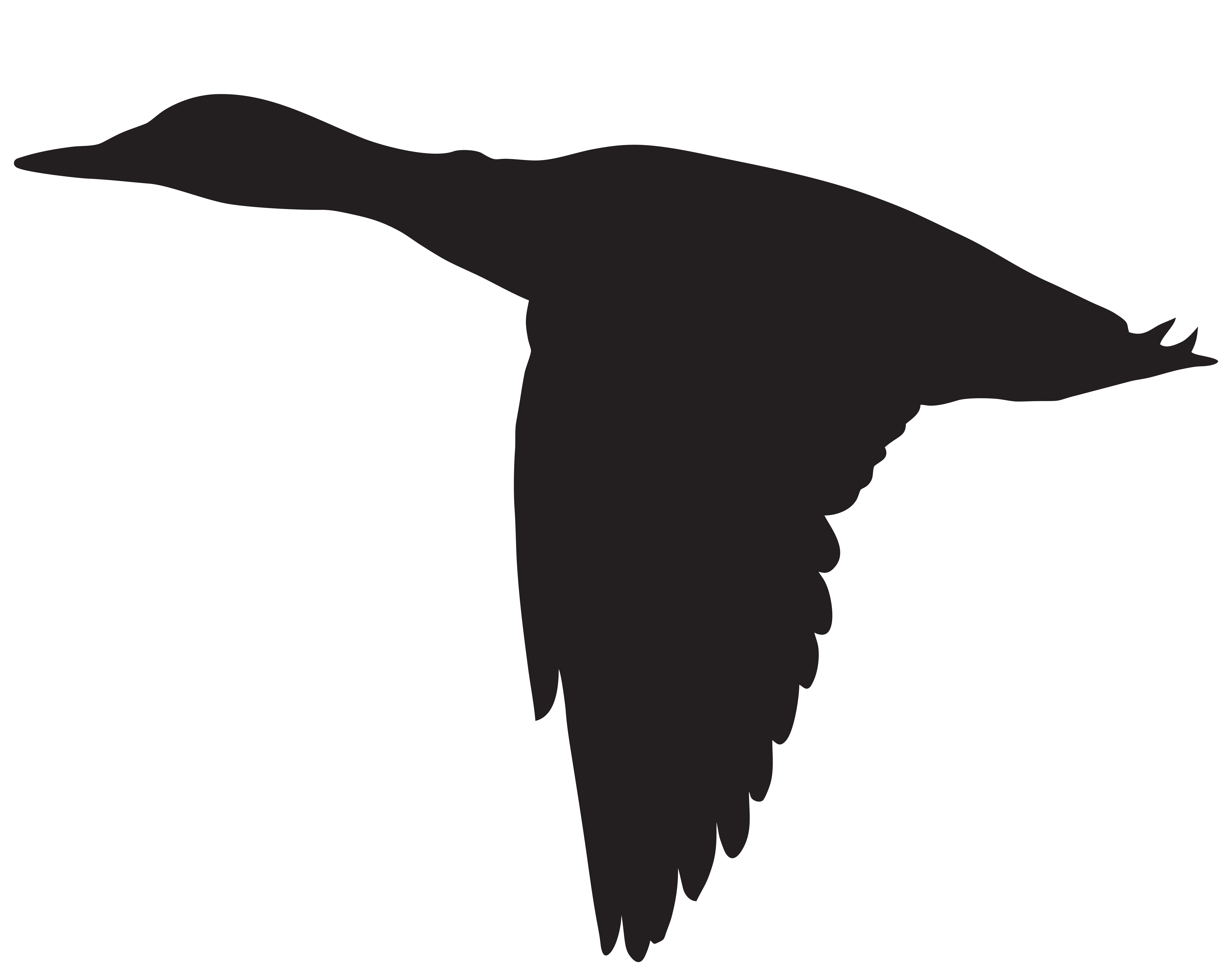 8000x6316 Duck Silhouette Clipart