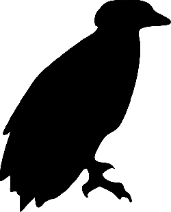 250x309 Free Pictures Bird