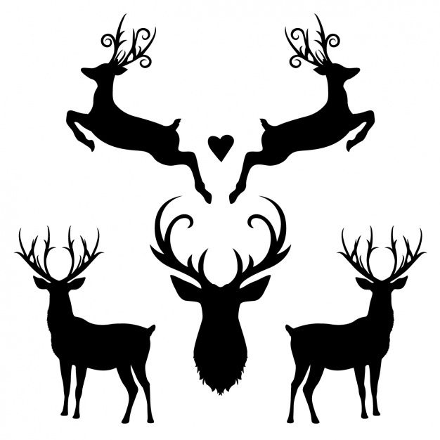 626x626 More Than A Million Free Vectors, Psd, Photos And Free Icons