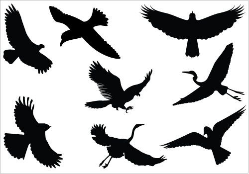 500x350 Silhouette Clip Art 328 Silhouette Of All Clip Arts, Graphics