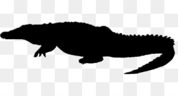 260x140 Crocodile Png And Psd Free Download