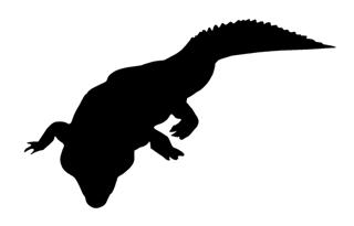 320x205 Alligator Silhouette 4 Decal Sticker