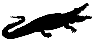 320x149 Crocodile Clipart Panda