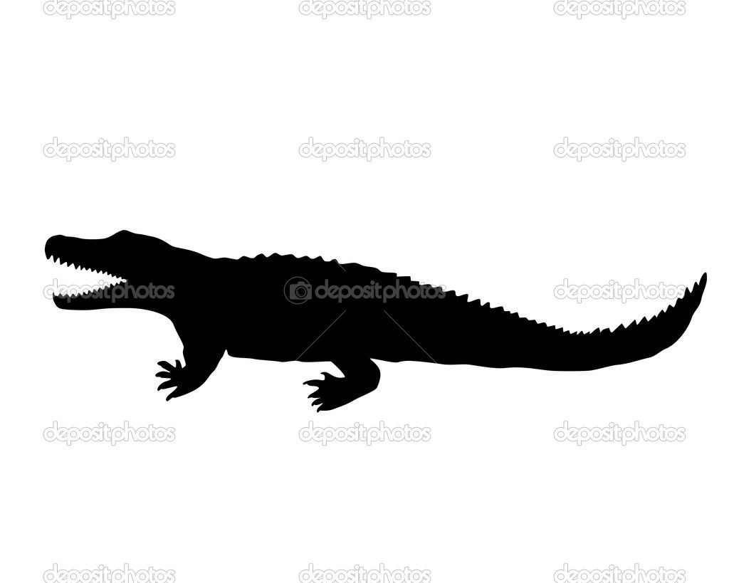 1024x819 Reptile Silhouettes