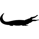 128x128 Alligator Vectors, Photos And Psd Files Free Download