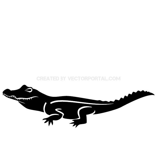660x660 Free Alligator Vectors 9 Downloads Found