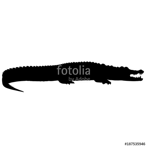 500x500 Black White Vector Alligator Silhouette Stock Image