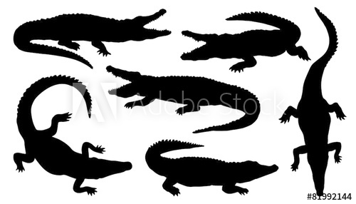 500x286 Crocodile Silhouettes