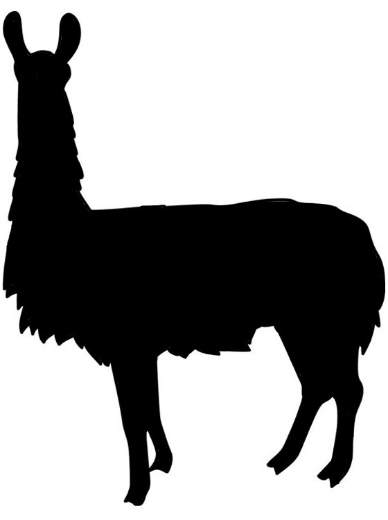 560x750 Clip Art Alpaca