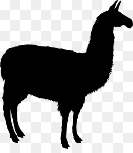 Alpaca Silhouette Clip Art at GetDrawings | Free download