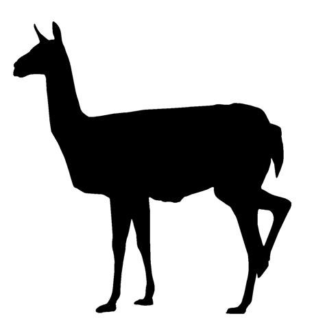 458x480 Alpaca Silhouette Clip Art 74707 Bitplanet