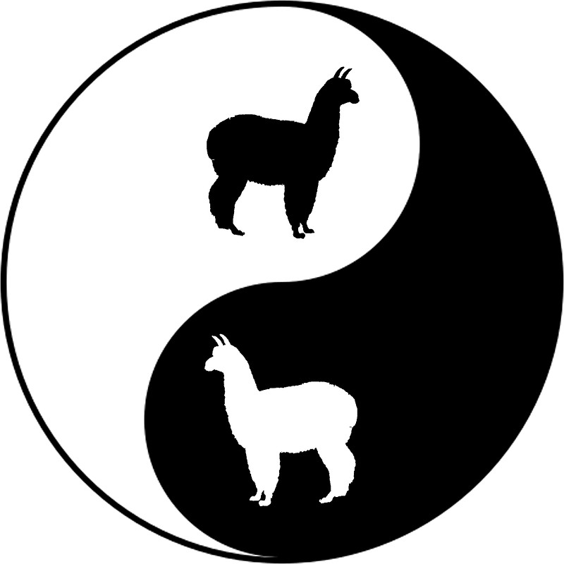 800x800 Yin Yang Alpaca Stickers By Delirusfurittus Redbubble