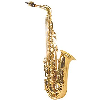 355x355 List Of Synonyms And Antonyms Of The Word Sax
