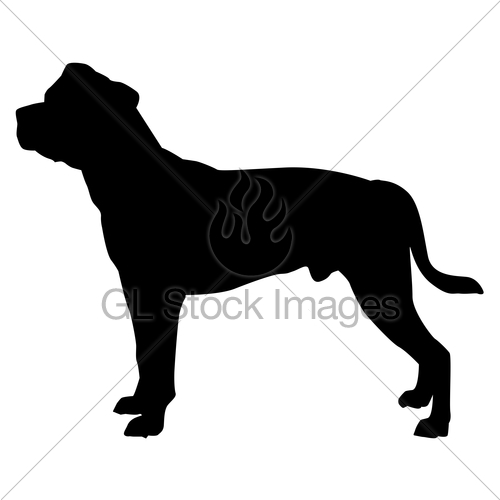 500x500 Standard Bulldog Gl Stock Images