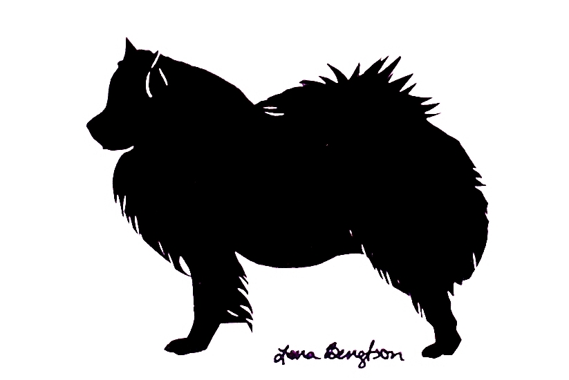 823x550 Pet Gallery Page 1