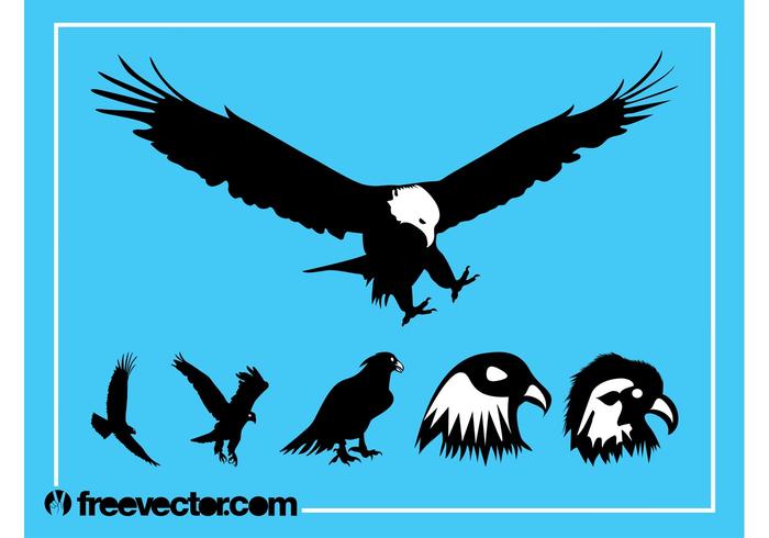 700x490 Eagle Silhouette Free Vector Art
