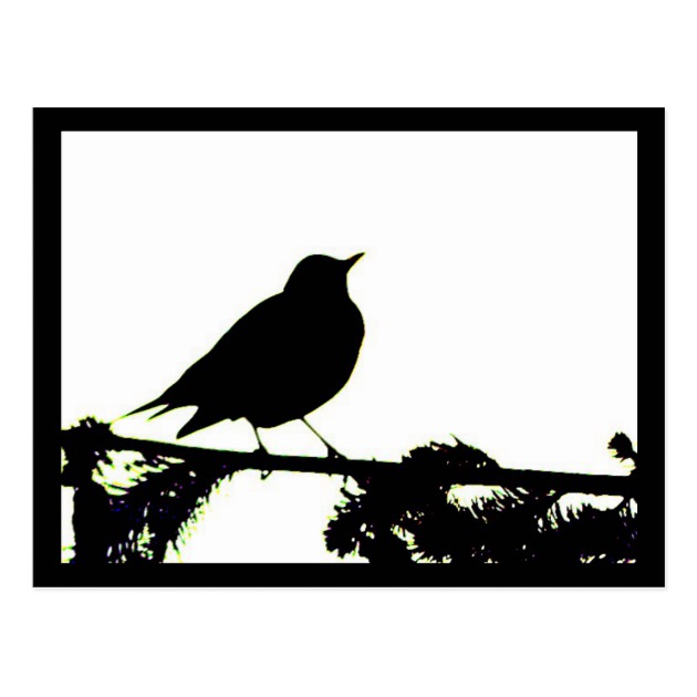 630x630 American Robin Silhouette Postcard