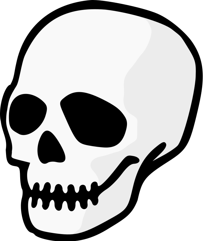 678x800 Human Skull Clipart