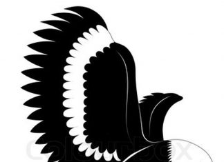 324x235 Eagle Tattoos