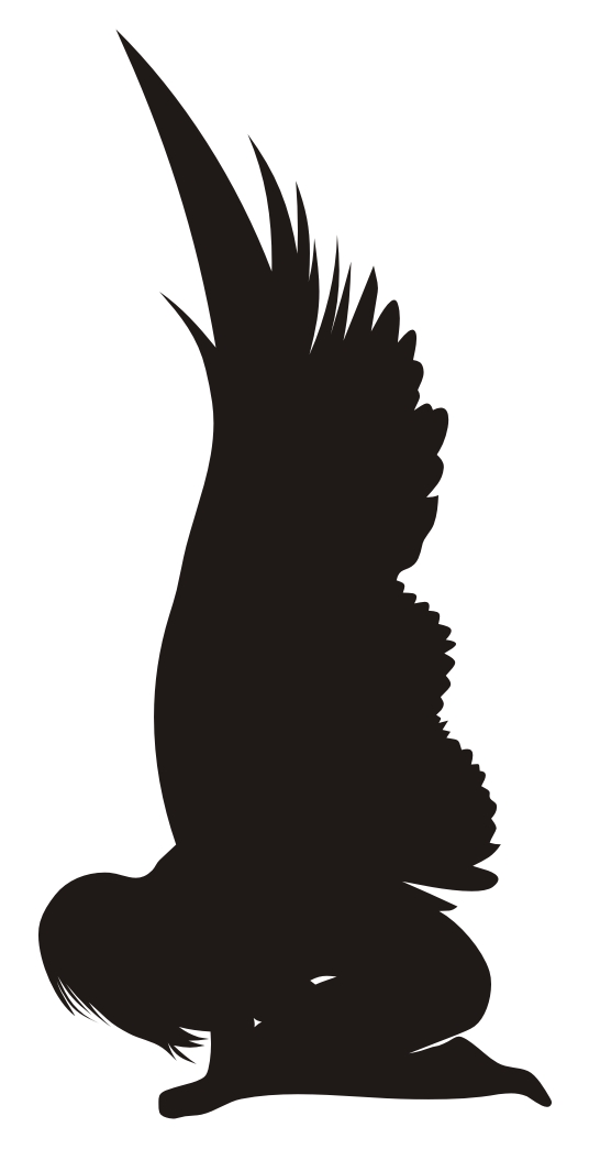 536x1044 Tattoo Gallery By Sherri Todd Tattoos Show