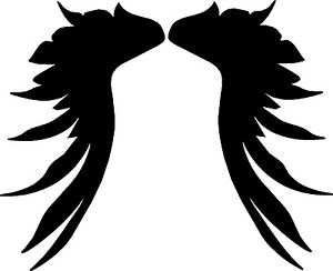 300x244 Dark Angel Wings Motorcycle Graphics Vinyl Decals, Stickers (2