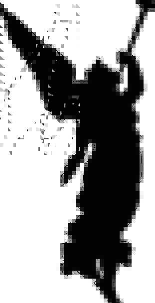 Angel With Trumpet Silhouette