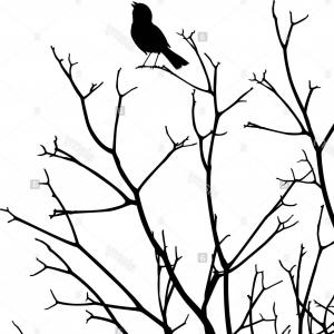 300x300 Top Angry Birds Mighty Eagle Vector Art By Saadmk Drawing Lazttweet