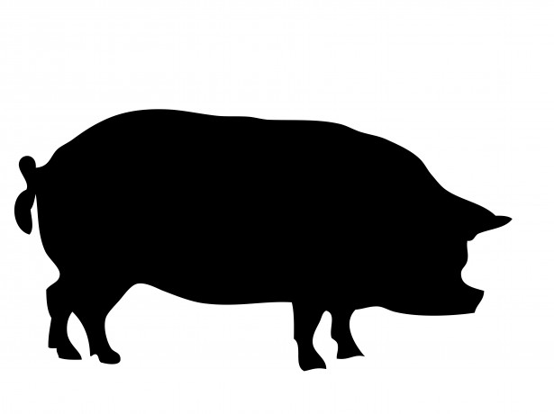 615x460 Pig Silhouette Free Stock Photo