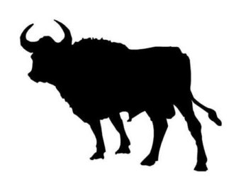 340x270 Angus Cow Etsy