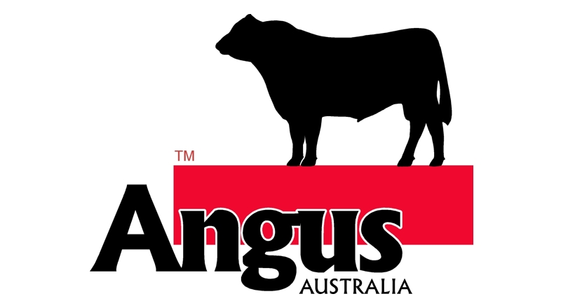 800x440 Logo Design Angus Australia Alternative Concepts