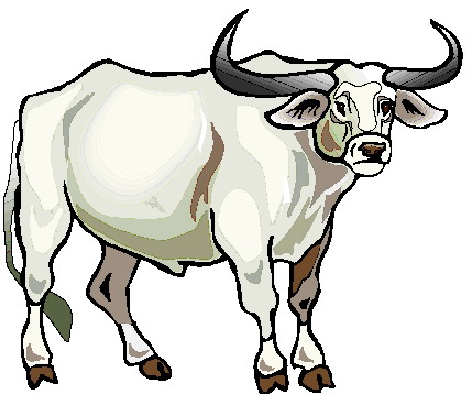 429x358 Angus Bull Silhouette Clipart