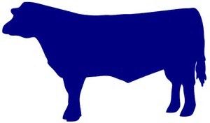 300x176 Image Result For Beef Cow Outline Clip Art Animals