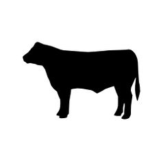 235x214 Image Result For Angus Cow Silhouette Design Cow