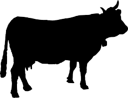 256x197 Image Result For Cattle Clipart Cows Cattle